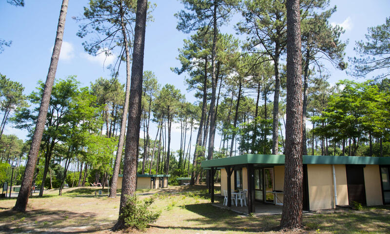 Les Pins Village Vacances** - Leon - 37