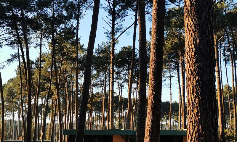 Les Pins Village Vacances** - Leon - 44