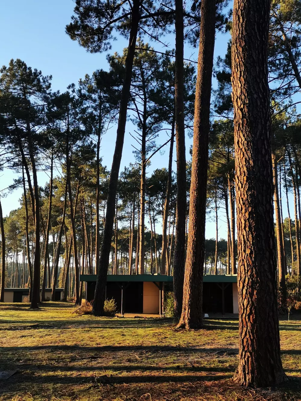 Les Pins Village Vacances2 étoiles★★