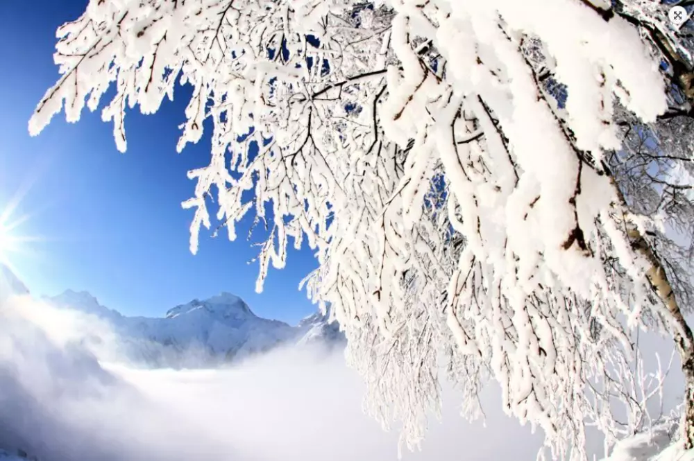 Résidence Neige et Soleil