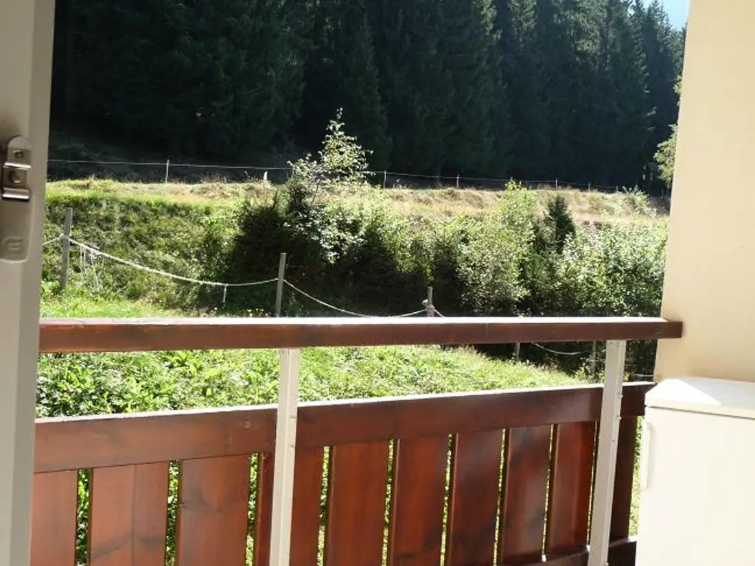 Location de Vacances Les Adrets-Prapoutel 34
