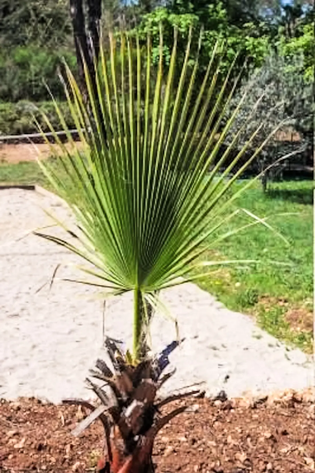 Maison de Vacances Les Arcs sur Argens