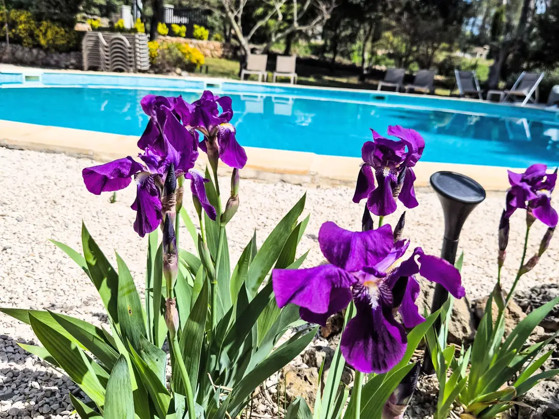 Maison de Vacances Les Arcs sur Argens