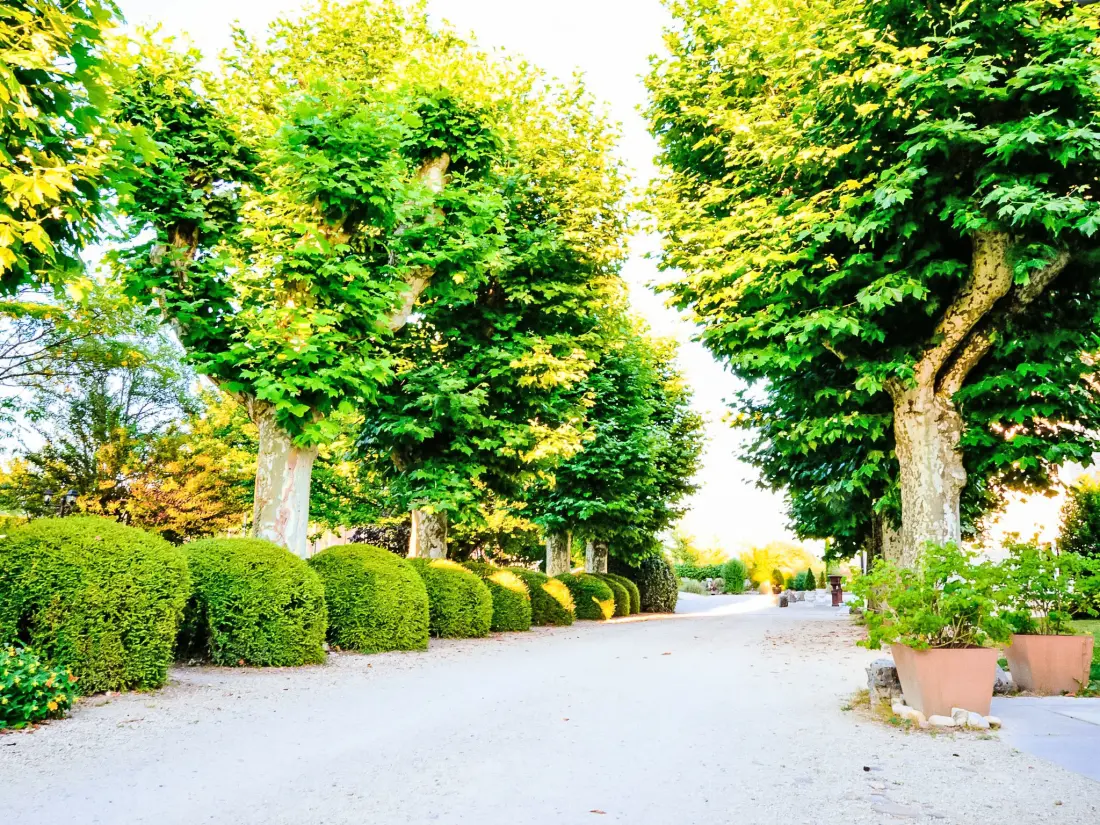 Maison de Vacances Les Avenières