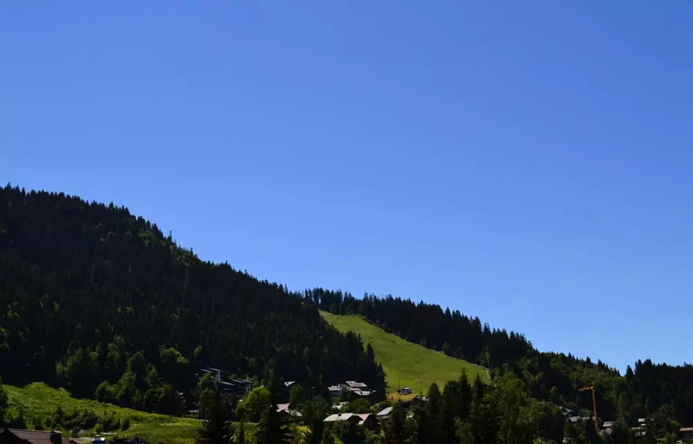 Résidence Chalet Odalys L'Adret