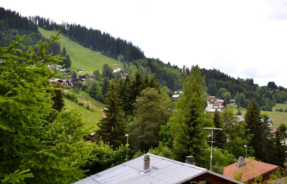 Résidence Chalet Odalys L'Adret