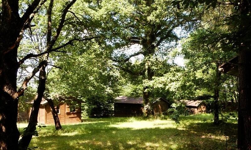 Camping Brin d'Amour *** - Les Eyzies-de-Tayac-Sireuil - 19