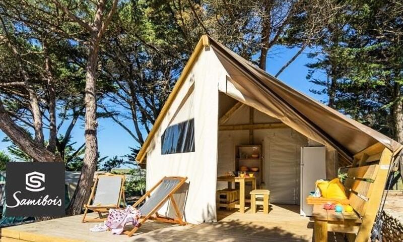 Camping Brin d'Amour *** - Les Eyzies-de-Tayac-Sireuil - 11
