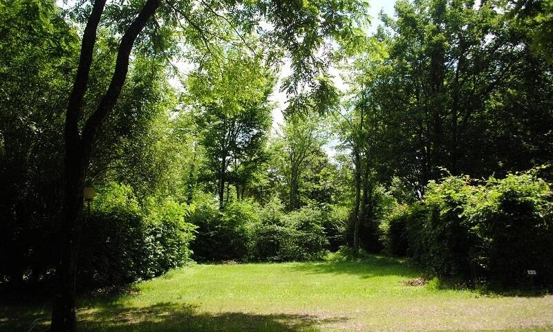 Camping Brin d'Amour *** - Les Eyzies-de-Tayac-Sireuil - 24