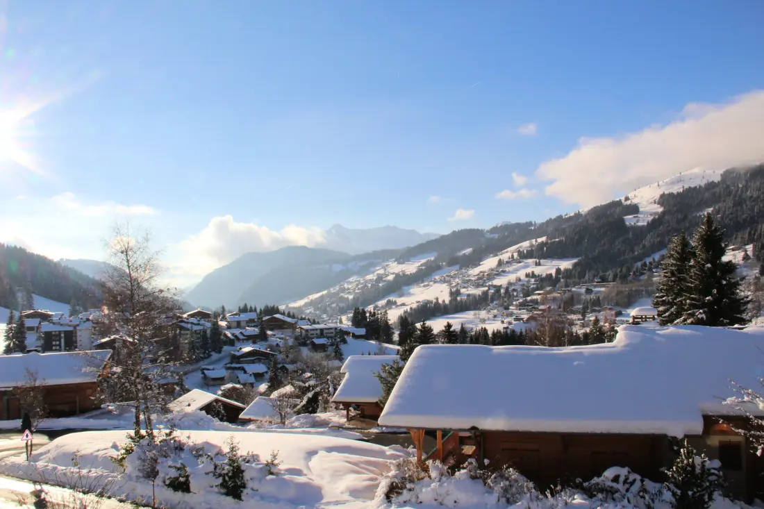 Chalet Les Sauvageons