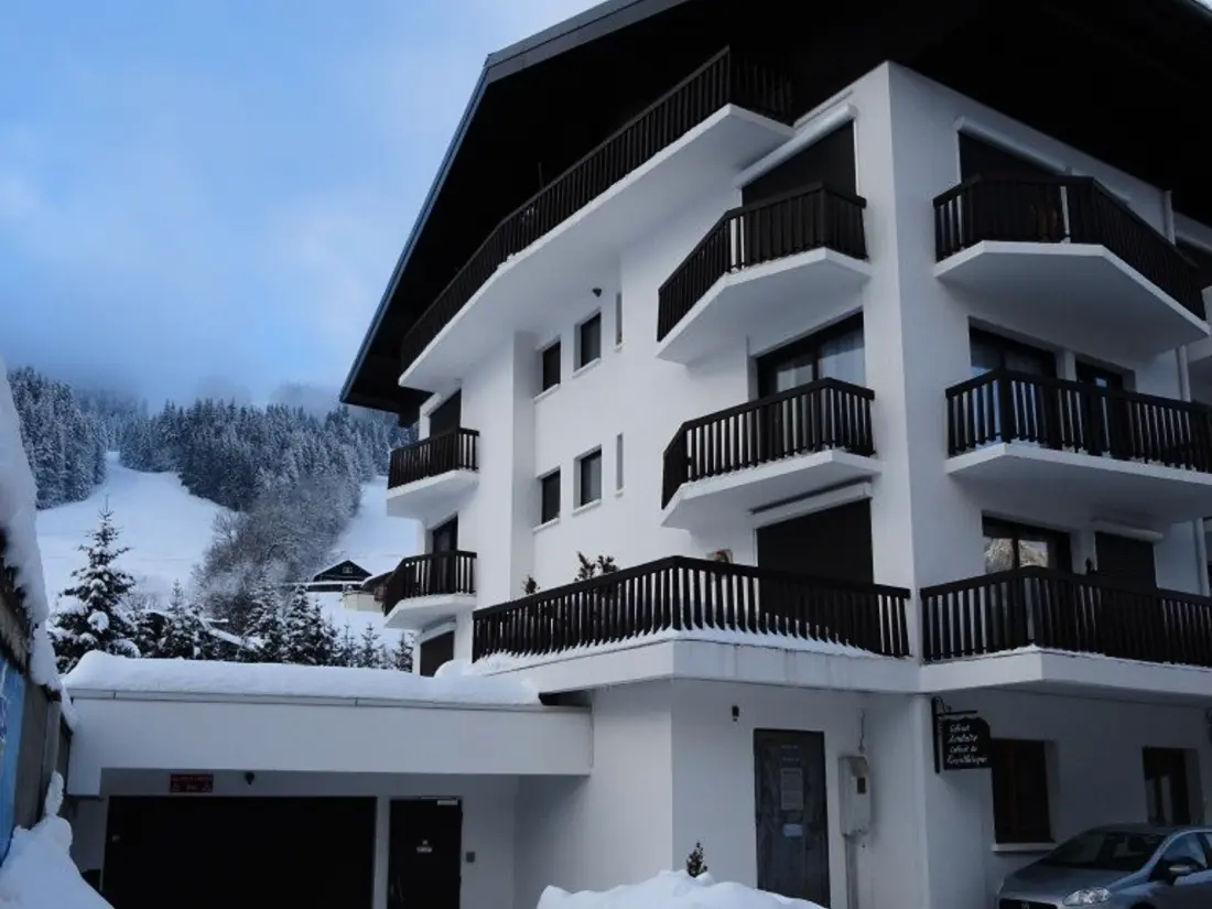 Location de Vacances Les Gets 1037