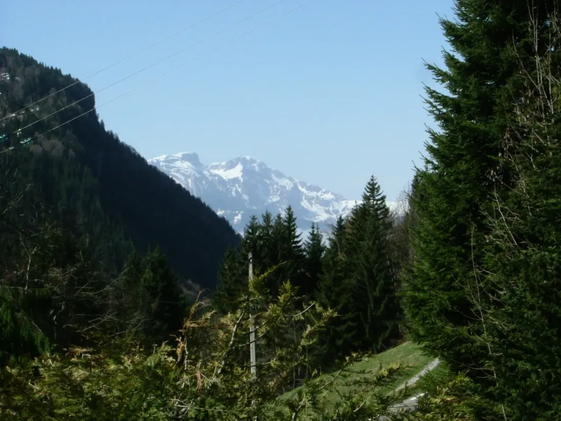 Location de Vacances Les Gets 588