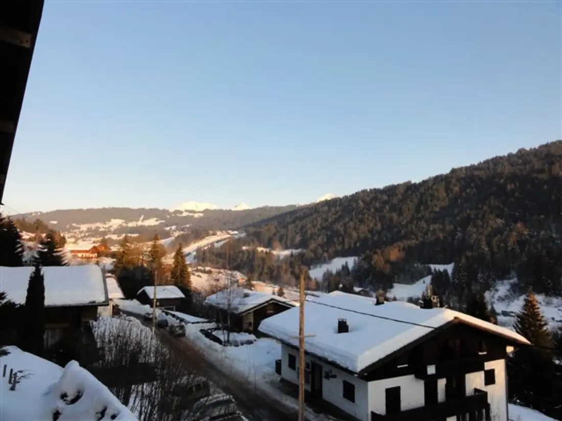 Location de Vacances Les Gets 588