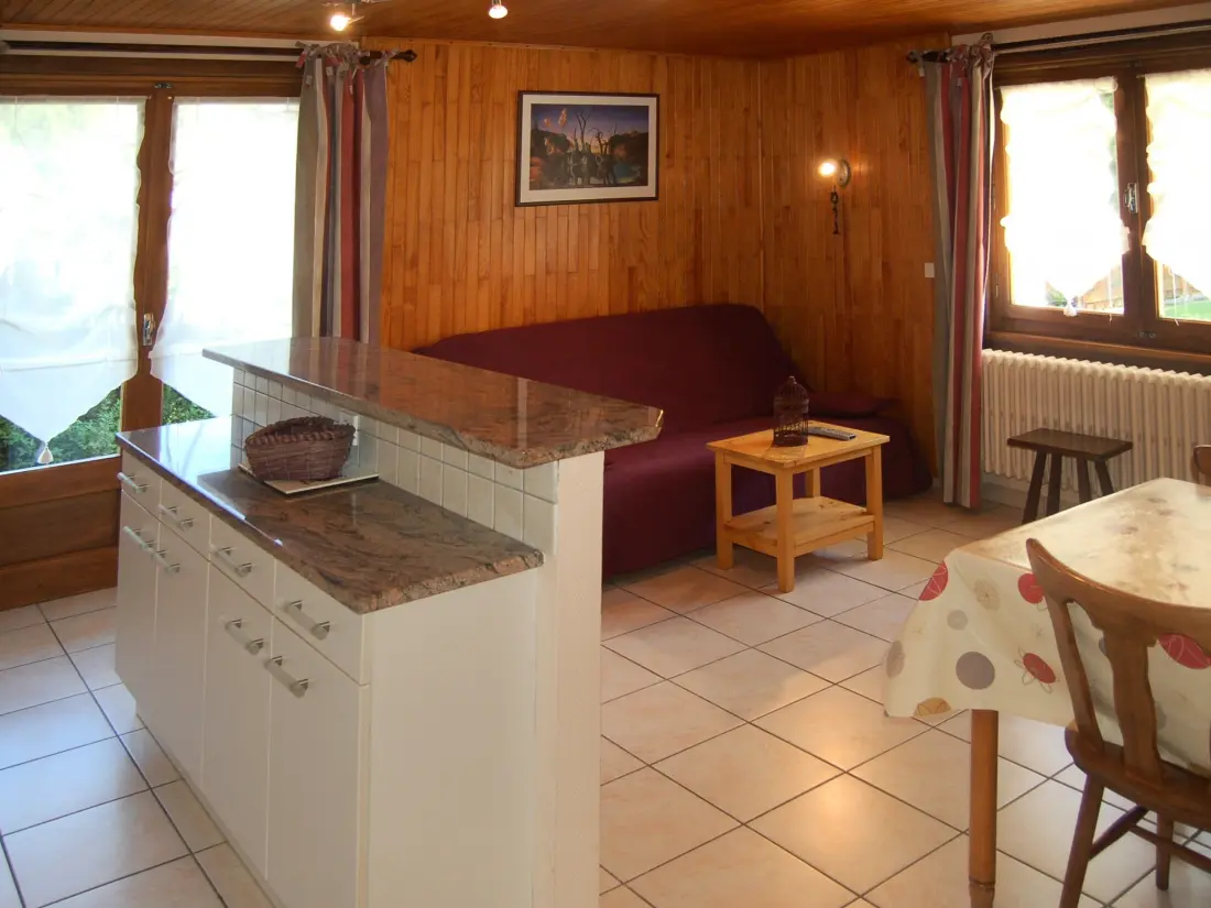 Location de Vacances Les Gets 599