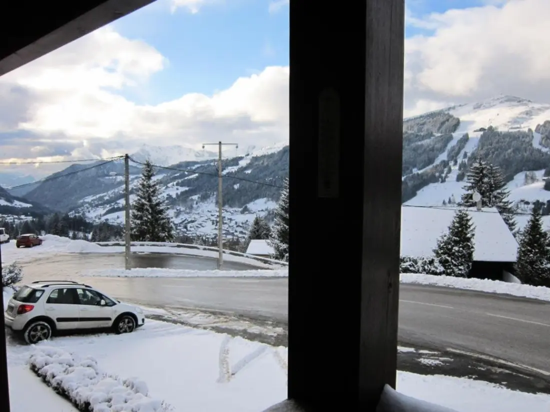 Location de Vacances Les Gets 867