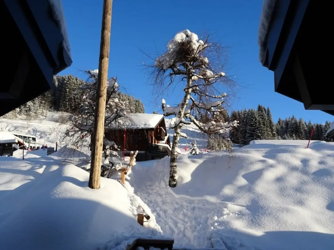 Location de Vacances Les Gets 867