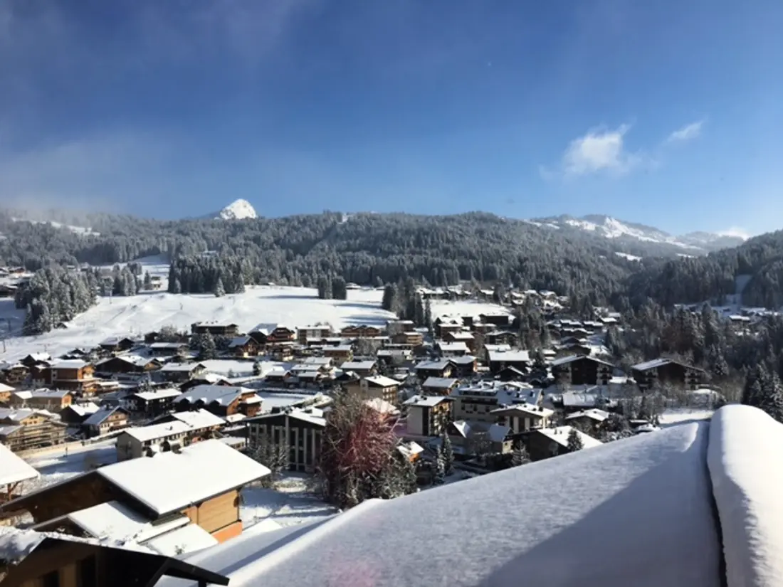 Location de Vacances Les Gets 948
