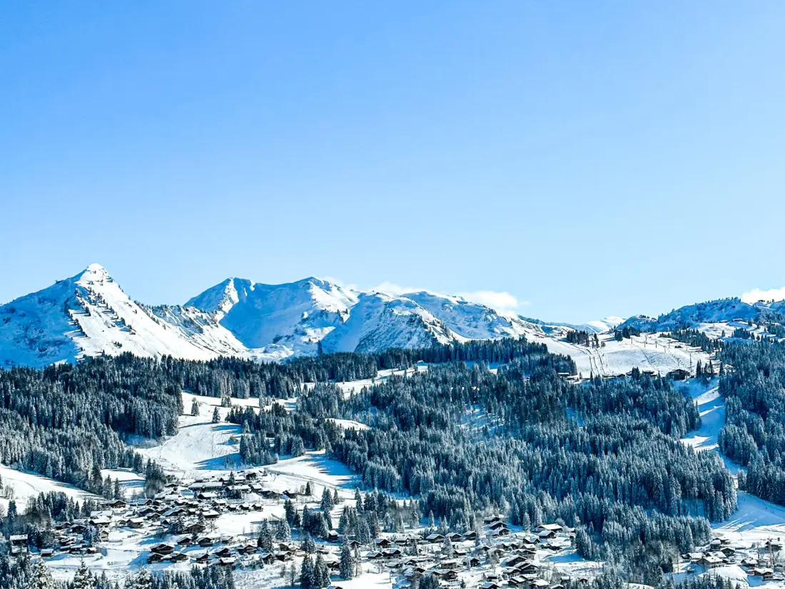 Location de Vacances Les Gets 968