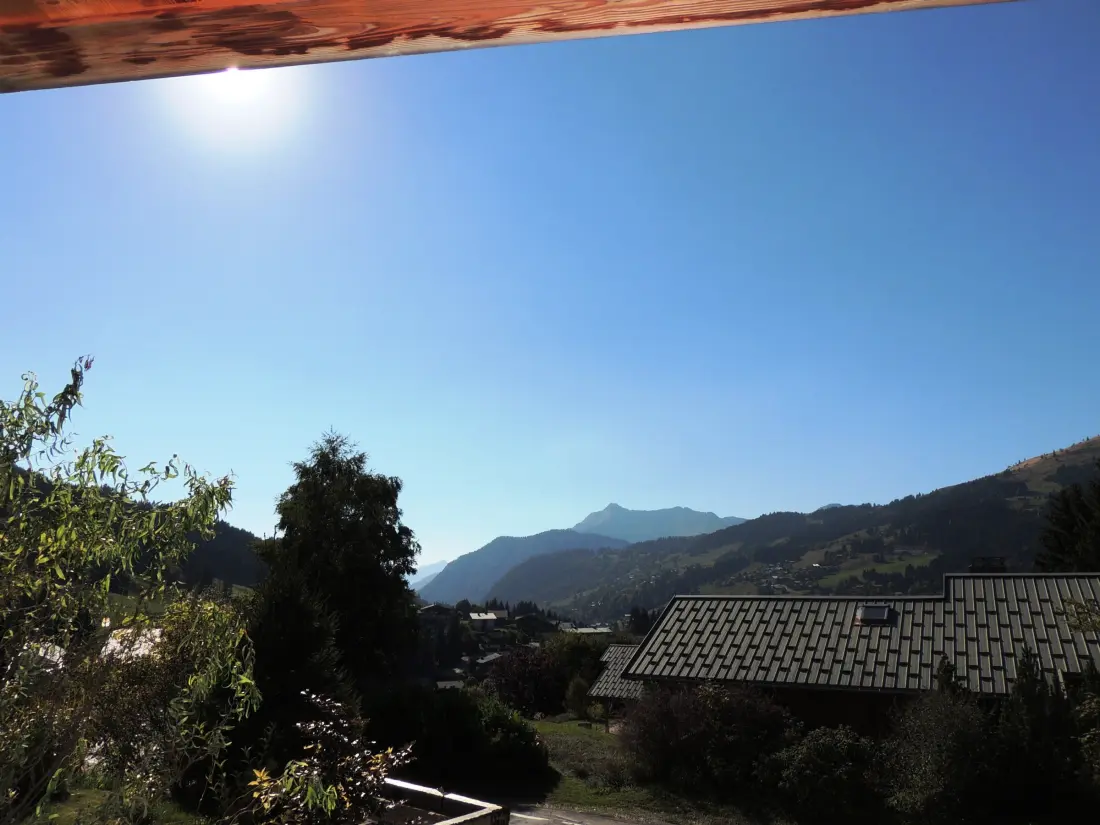Maison de Vacances Les Gets 138
