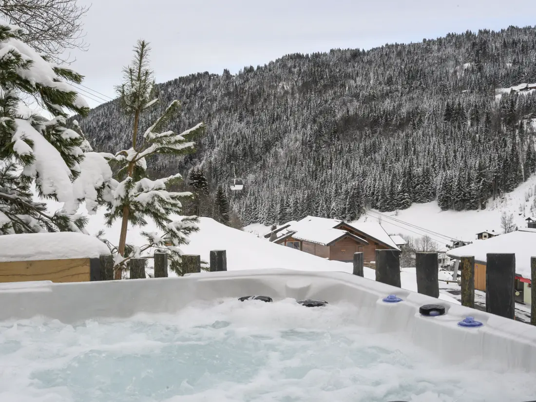 Maison de Vacances Les Gets 706