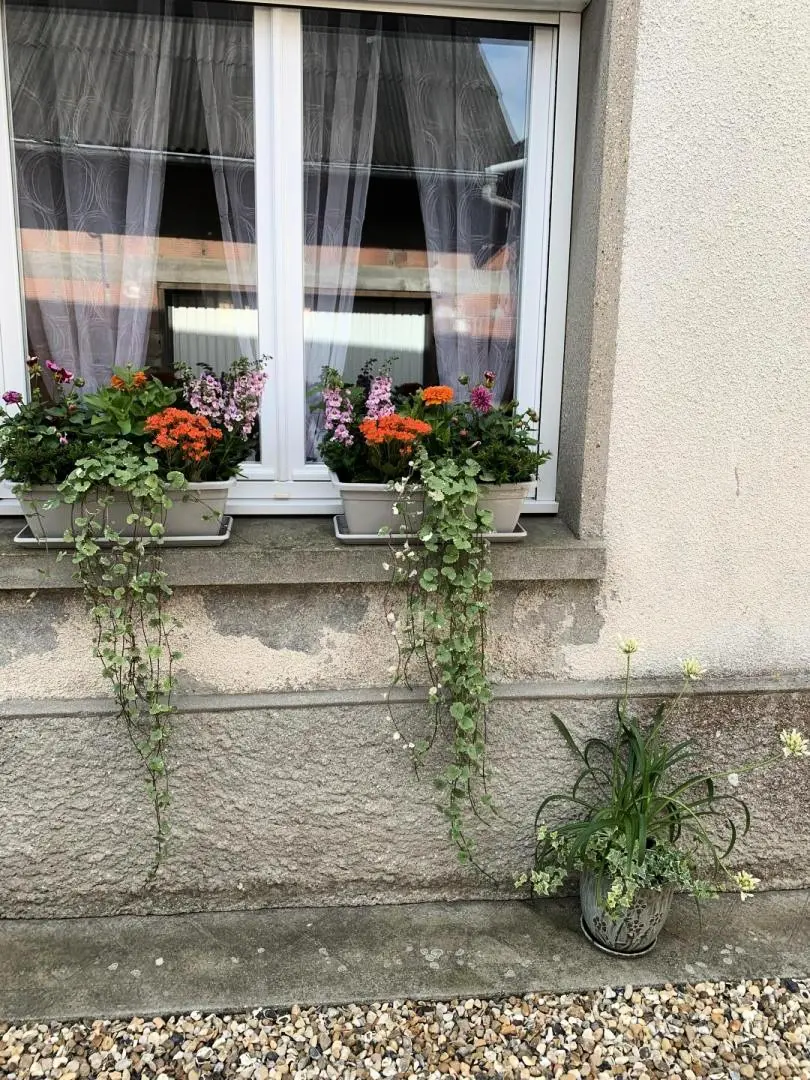 Gîte de France Gîtes de france® - au p'tit prince d'etretat 2 épis