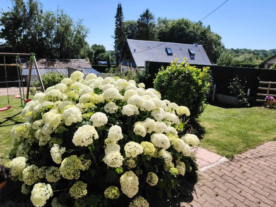 Gîte de France Gîtes de france® - les hêtres 3 épis