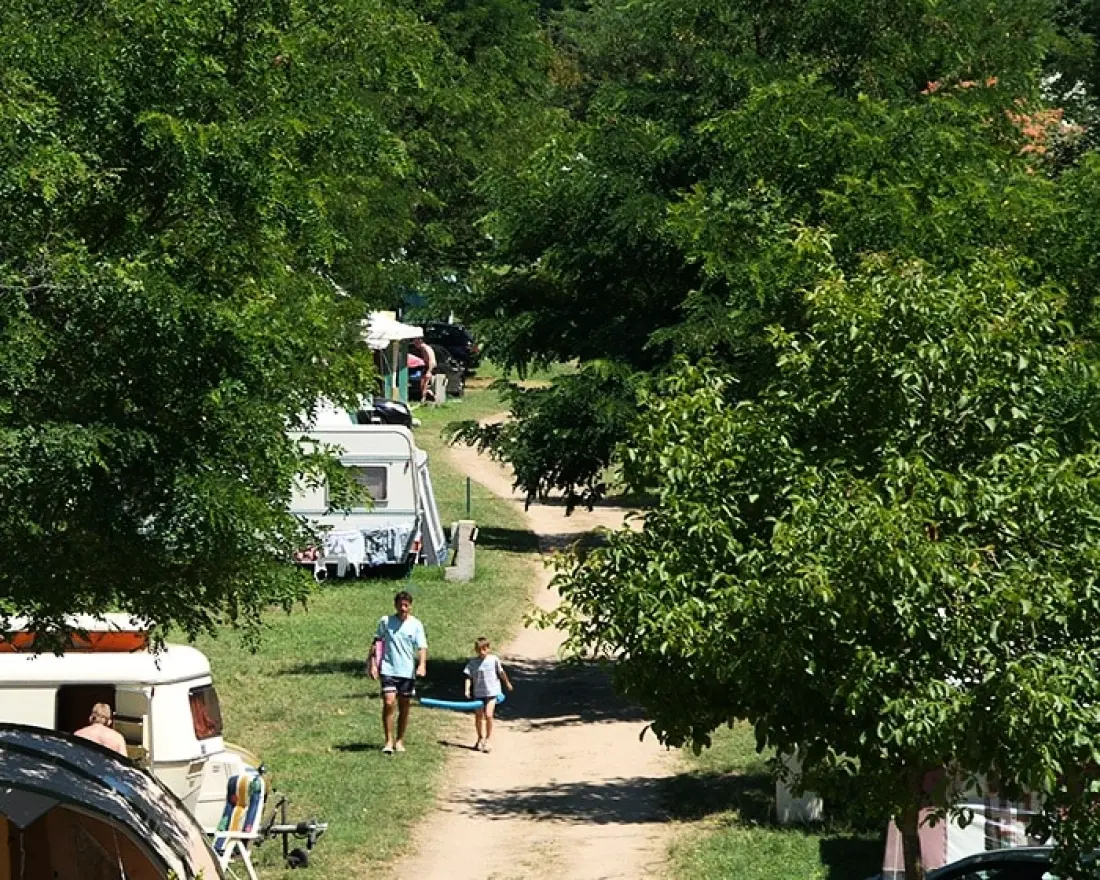 Flower Camping Mas de Champel 4 étoiles★★★★