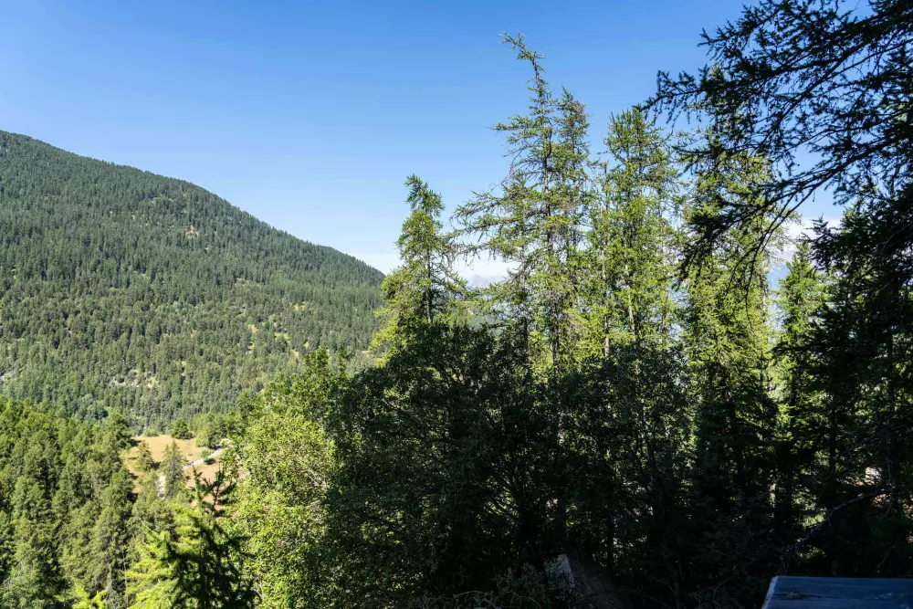 Résidence Le Belvedere