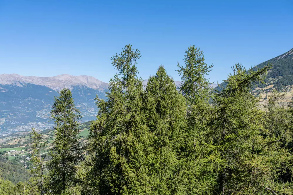 Résidence Le Belvedere