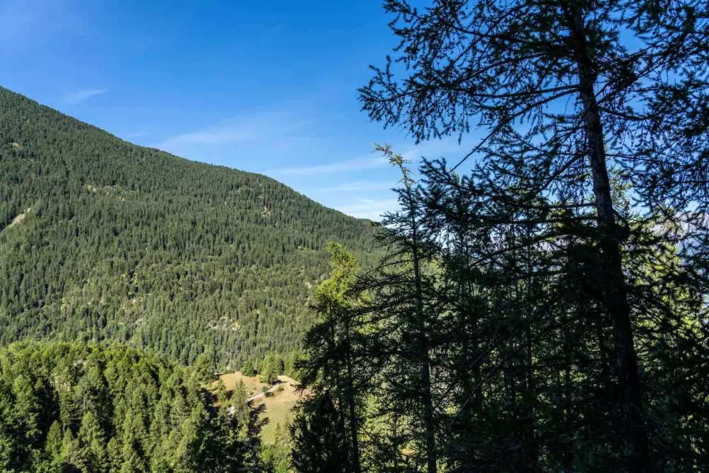 Résidence Le Belvedere