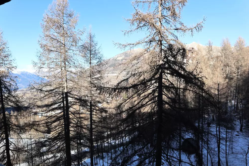 Résidence Les Ecrins