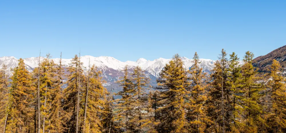 Résidence Les Hauts De Preclaux
