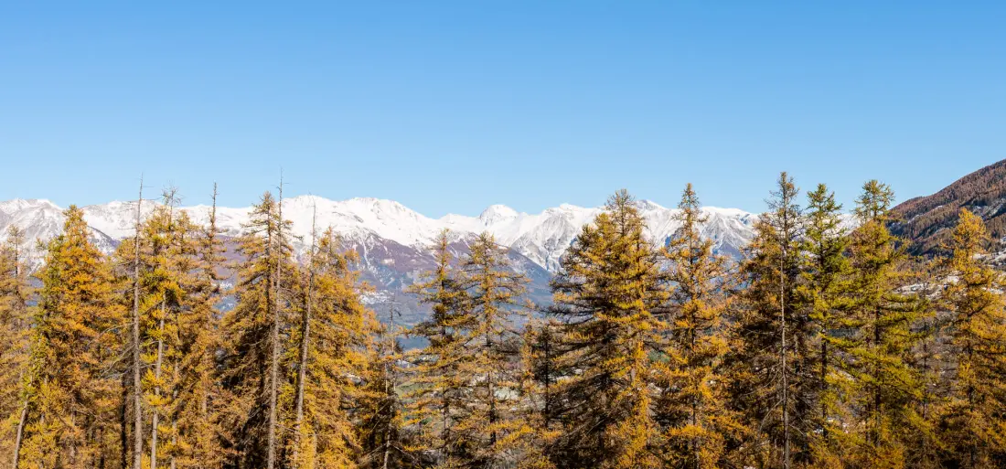 Résidence Les Hauts De Preclaux