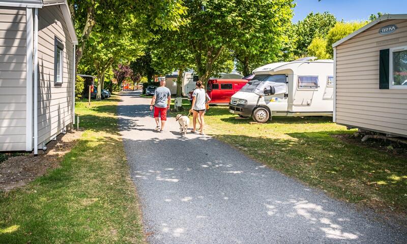 Camping Le Nid d'Été **** - Les Sables d'Olonne - 15