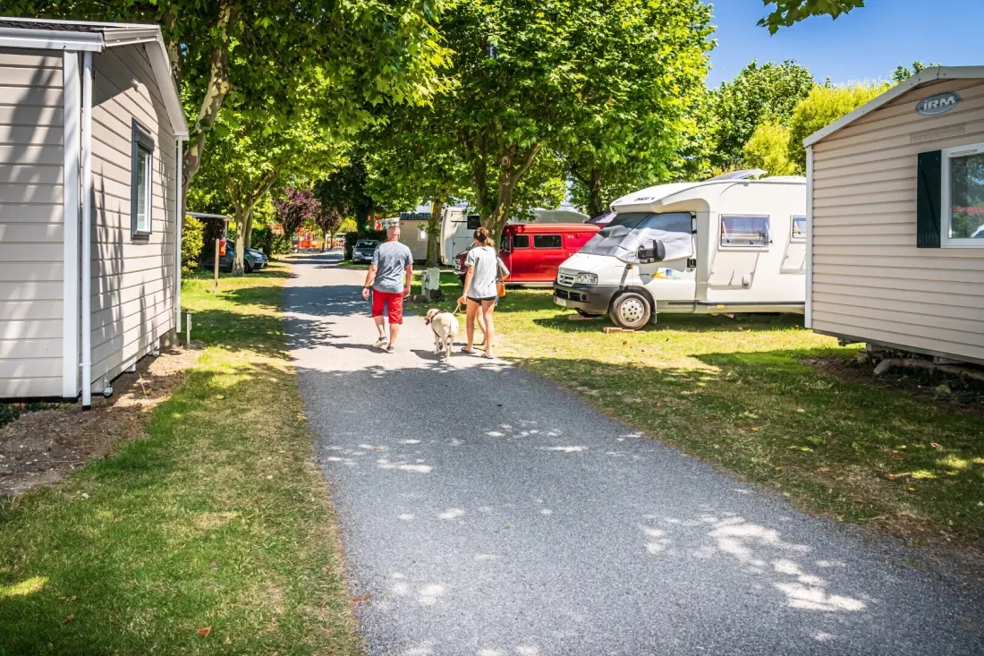 Camping Le Nid d'Été 4 étoiles★★★★