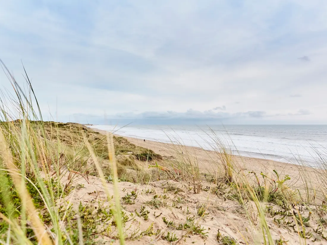 Location de Vacances Les Sables-d'Olonne 1013