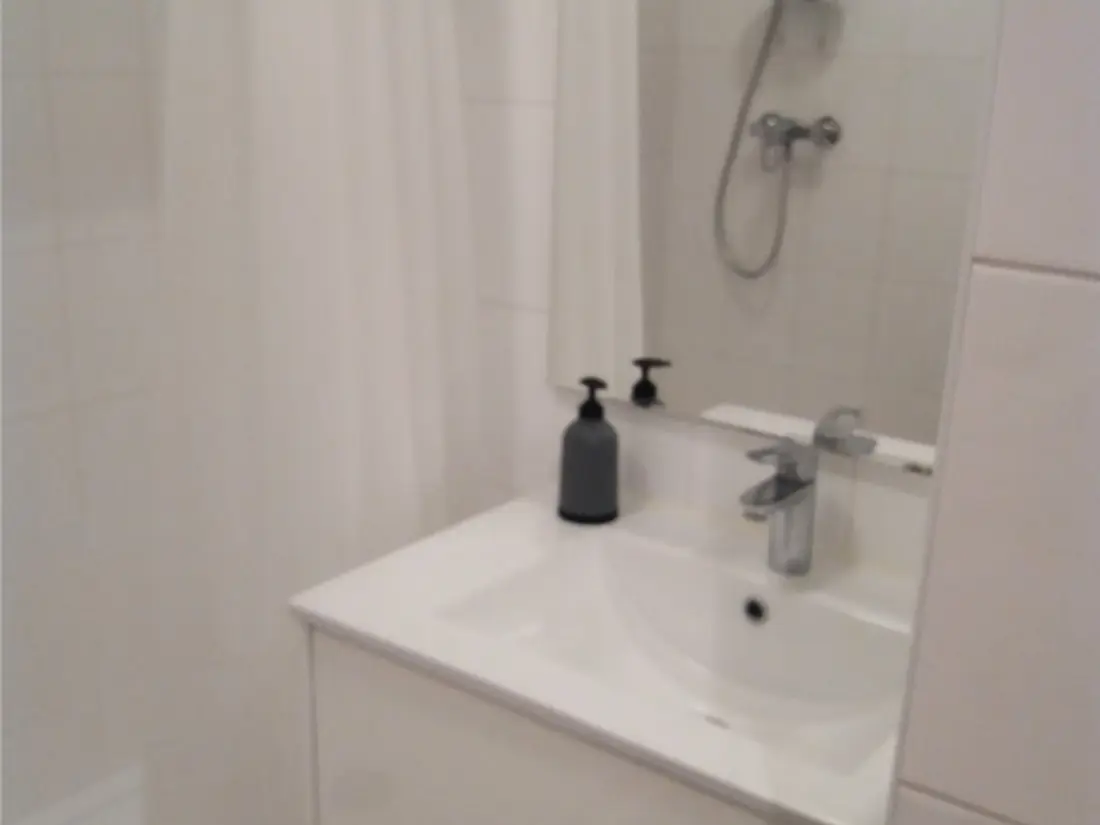 Location de Vacances Les Sables-d'Olonne 1083