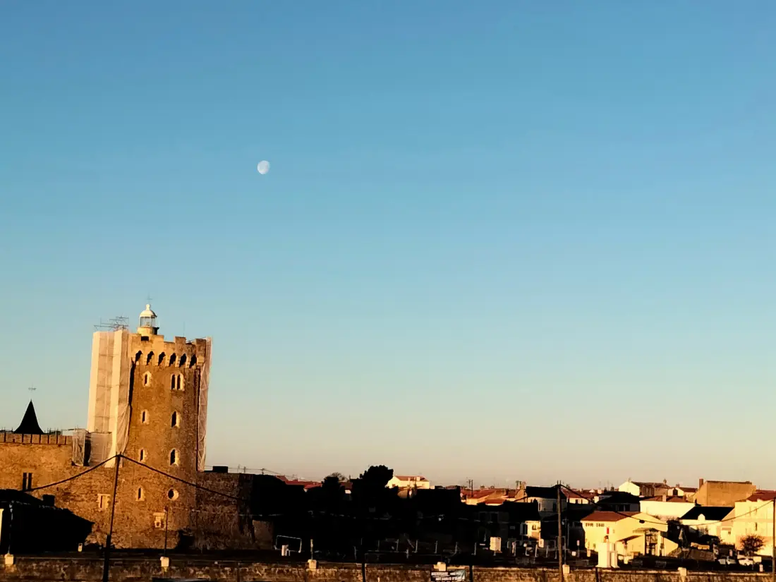 Location de Vacances Les Sables-d'Olonne 1083