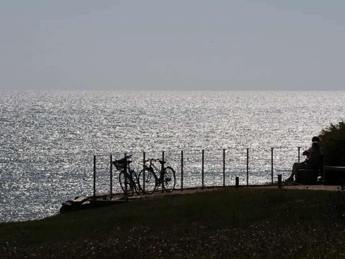 Location de Vacances Les Sables-d'Olonne 1134