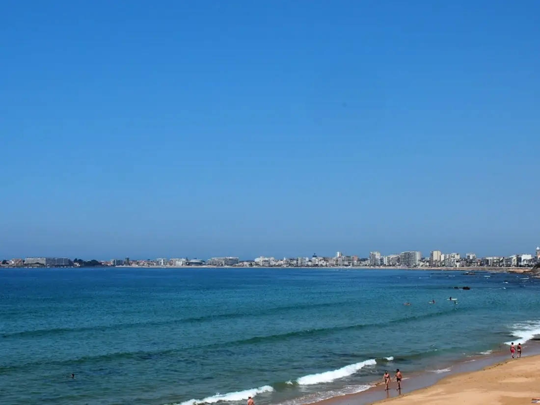 Location de Vacances Les Sables-d'Olonne 1151