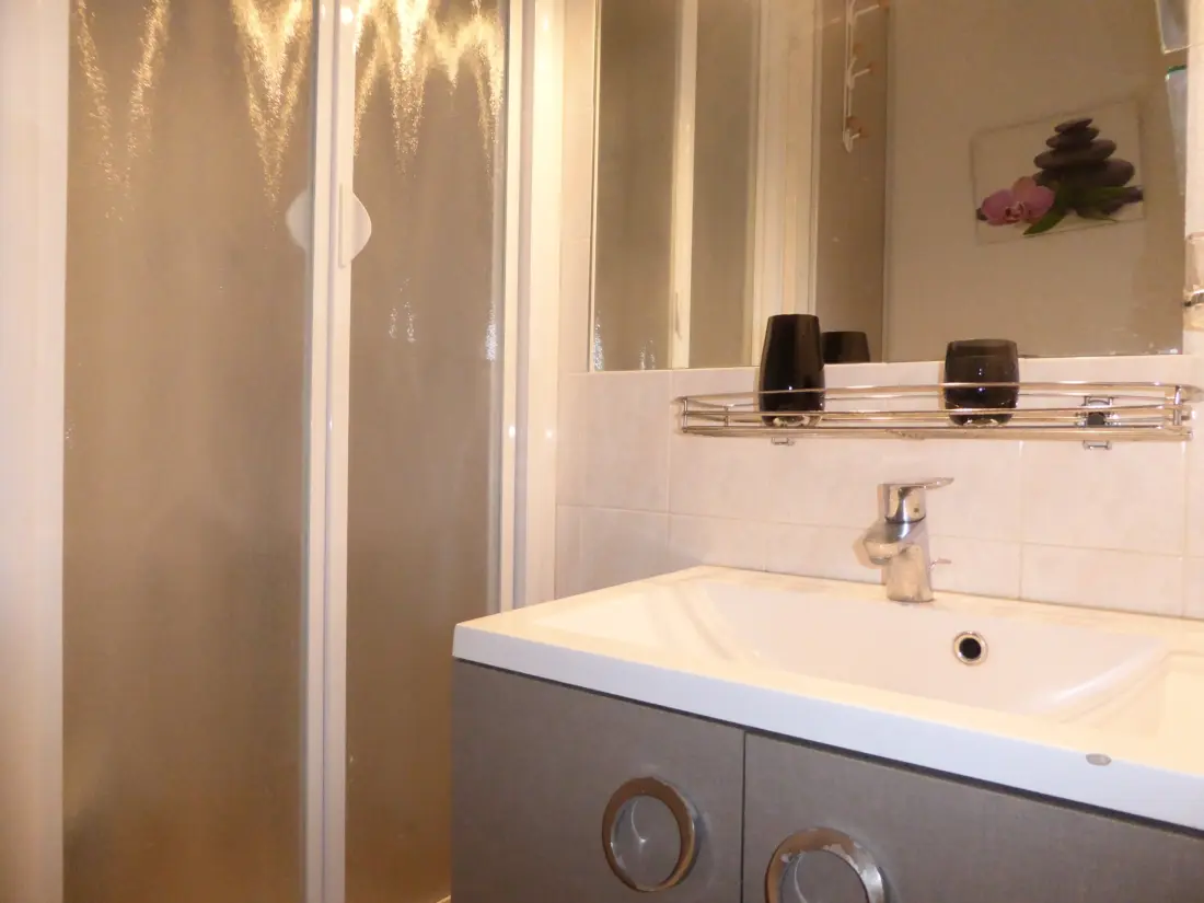Location de Vacances Les Sables-d'Olonne 1417