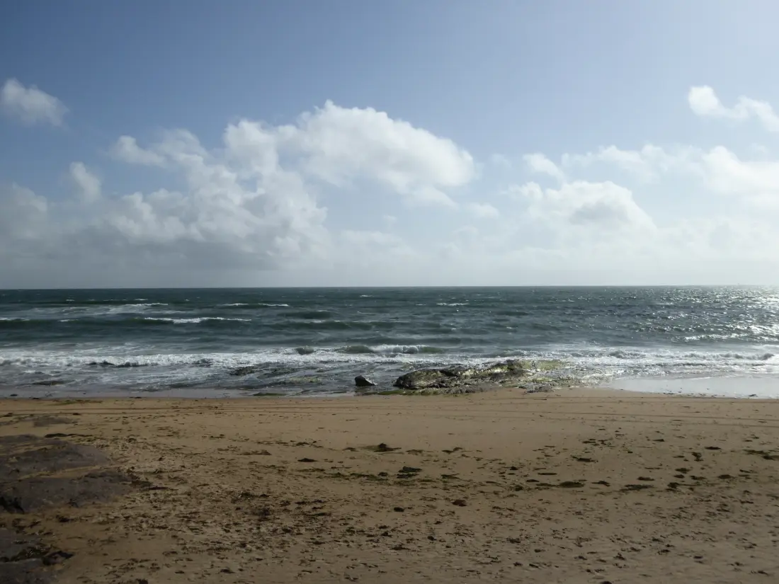 Location de Vacances Les Sables-d'Olonne 1417