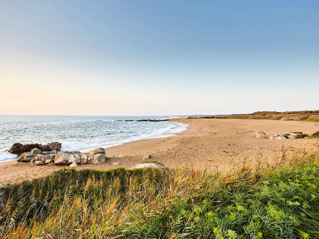 Location de Vacances Les Sables-d'Olonne 1435