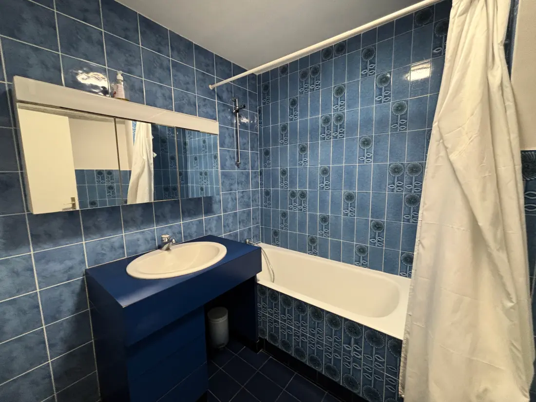 Location de Vacances Les Sables-d'Olonne 1455