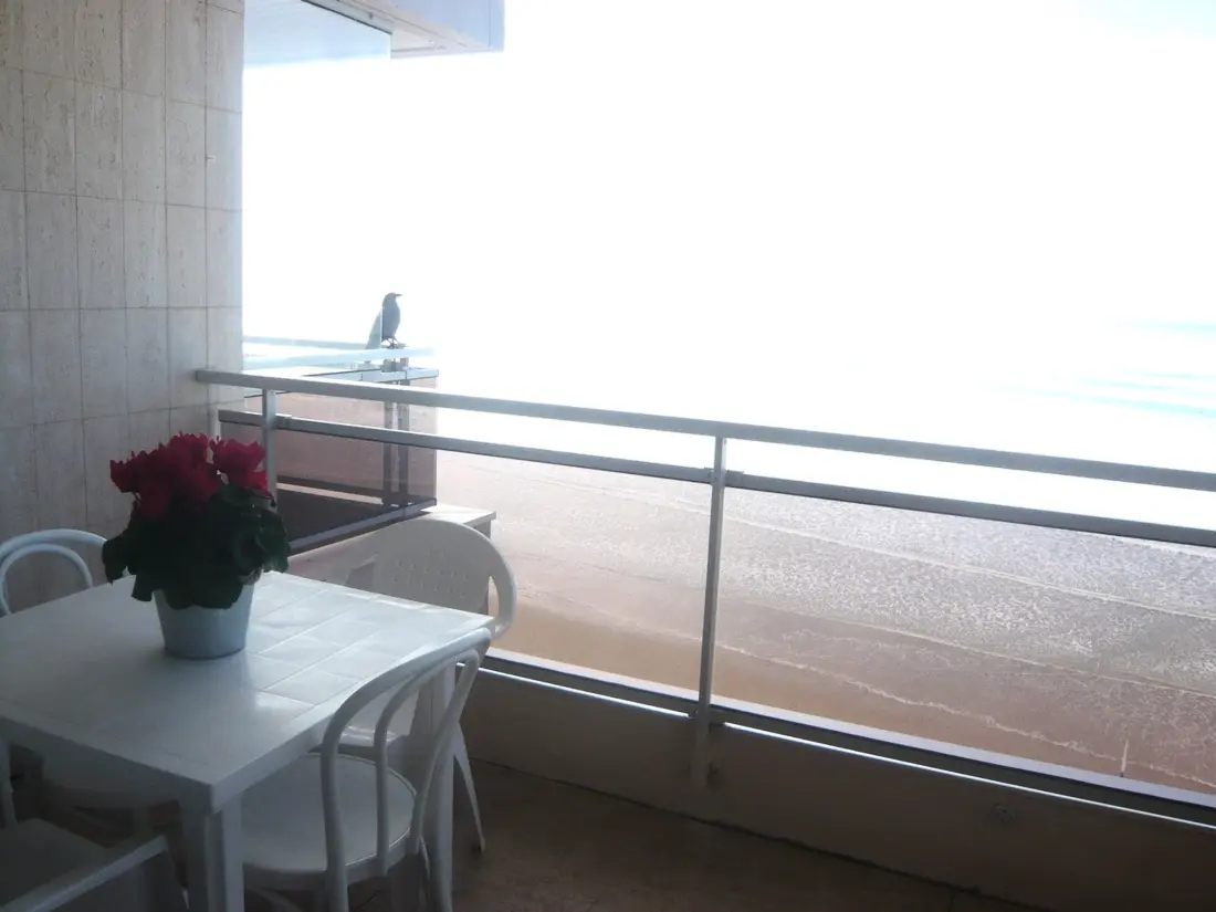 Location de Vacances Les Sables-d'Olonne 1490