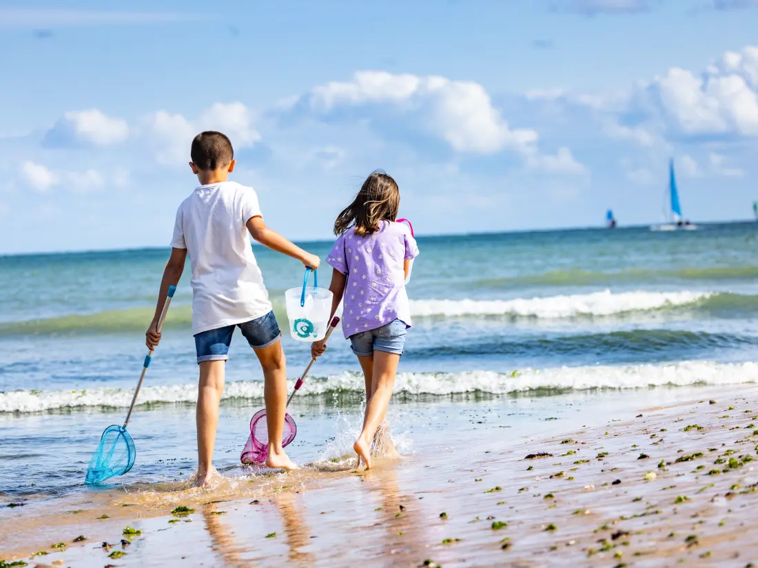 Location de Vacances Les Sables-d'Olonne 174