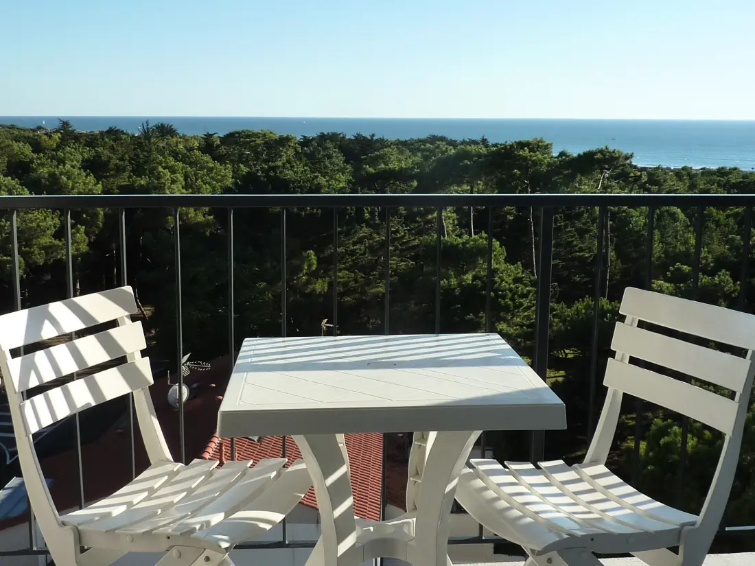 Location de Vacances Les Sables-d'Olonne 223