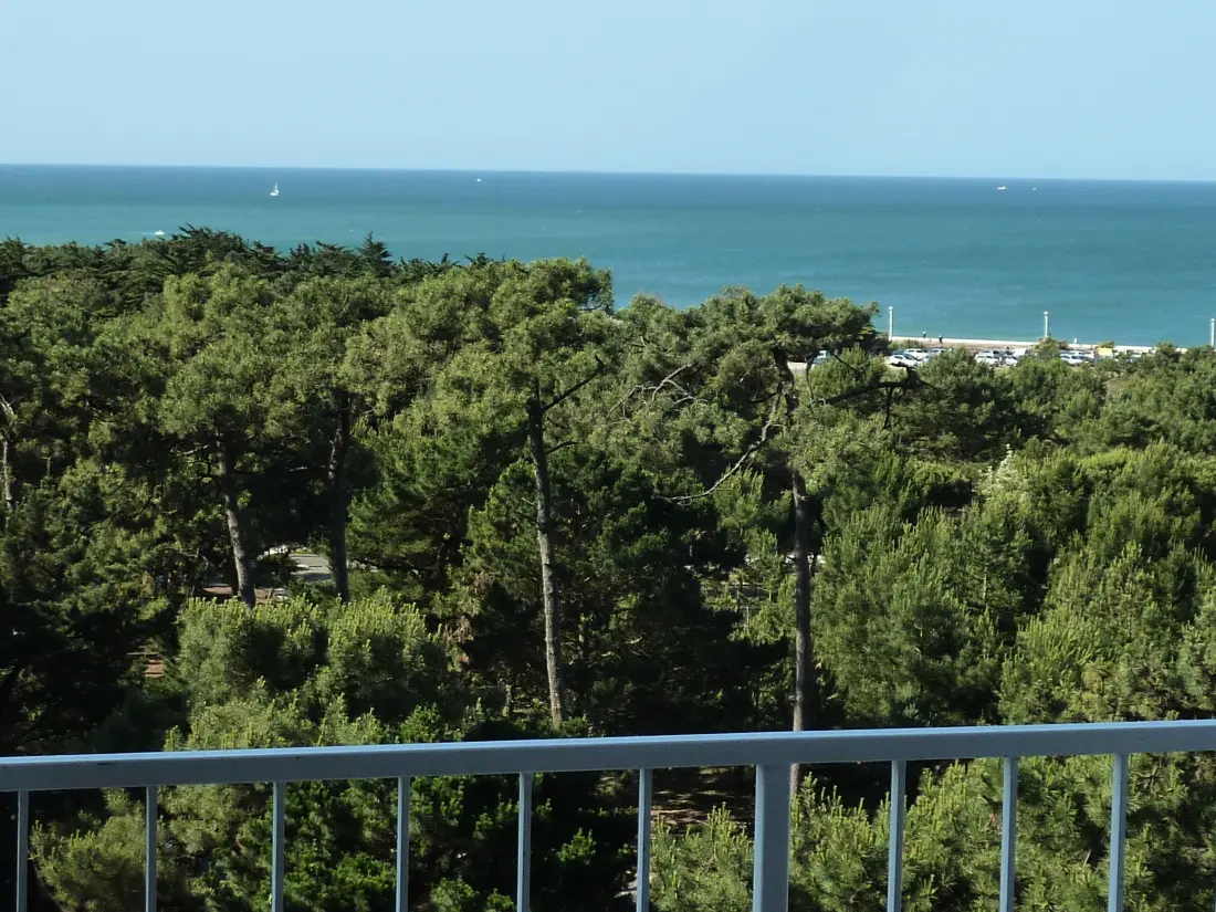 Location de Vacances Les Sables-d'Olonne 223