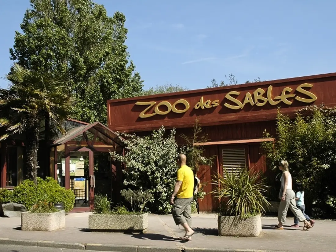 Location de Vacances Les Sables-d'Olonne 223