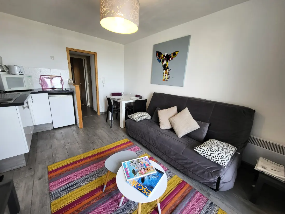 Location de Vacances Les Sables-d'Olonne 247